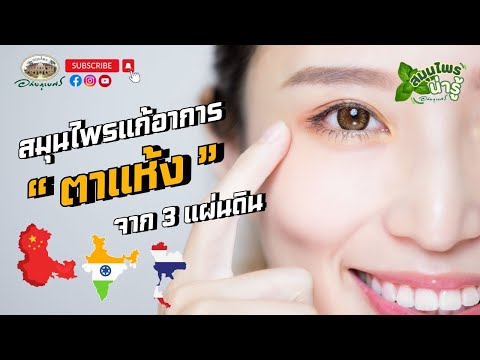 สมุนไพรแก้ตาแห้ง จาก 3 แผ่นดิน l สมุนไพรน่ารู้ (2024)