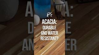 Download lagu ACACIA: The Water-Resistant Wonder?💦🌳 mp3