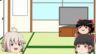 テスト動画