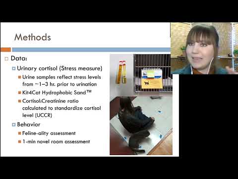 Maddie's Insights: Short Term Foster Programs for Shelter Cats: Beneficial or Problematic? - webcast