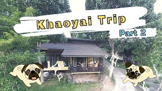 [PUG LIFE/パグ] ラテ＆ミルクと旅行！Traveling to Khaoyai ₍เขาใหญ่₎ ②