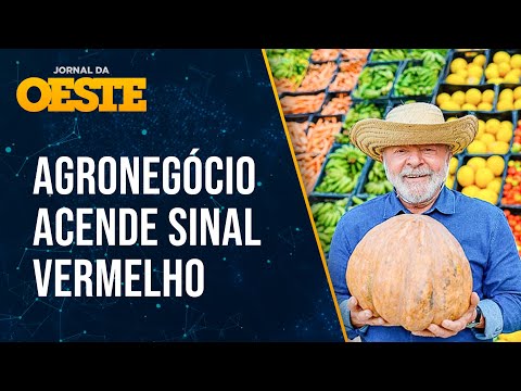 Sob Lula, pedidos de recuperação judicial do agronegócio batem recorde em 2025