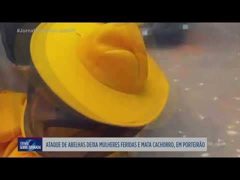Ataque de abelhas deixa feridos em Porteirão