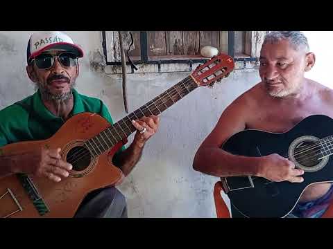 Zé da Viola e Bem-te-vi - Amor, tristeza e paixão ( Cantoria Improvisada )