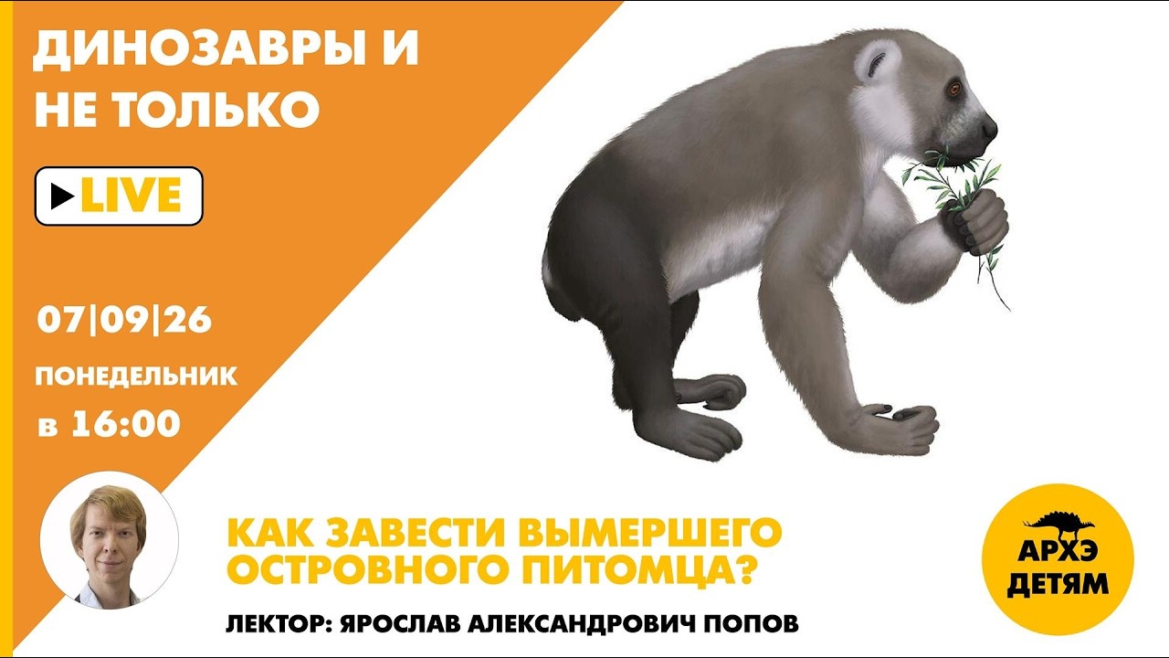 Занятие «Как завести вымершего островного питомца?» рубрики "Динозавры и не 