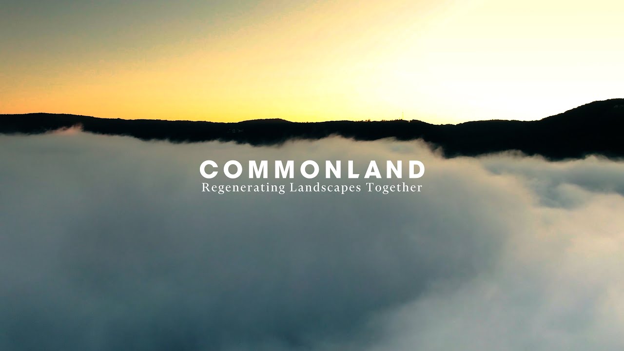What is Commonland ?