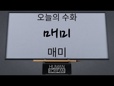 「매미」의 한국수어 표현