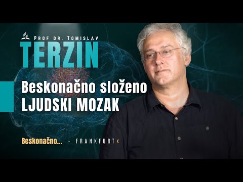 3. Tomislav Terzin - Ljudski mozak (Frankfurt)