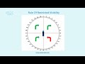 Rule 19 Restricted Visibility Explained