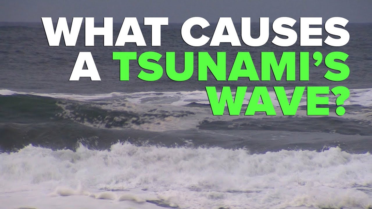 What causes a tsunami's wave?