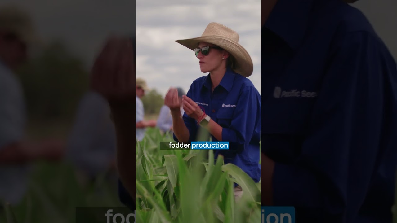 Pacific Seeds Foundation Farm Field Day - Day 1 Daily Wrap