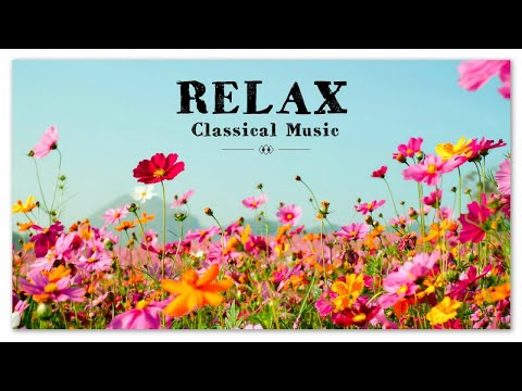 Relax | Classical Music | Chopin Beethoven Satie Mozart Liszt