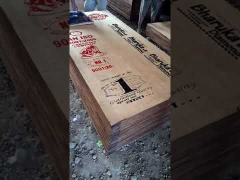 Plywood Door