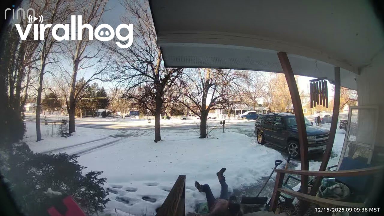 Icy Obstacles on the Way to Feed the Squirrels || ViralHog