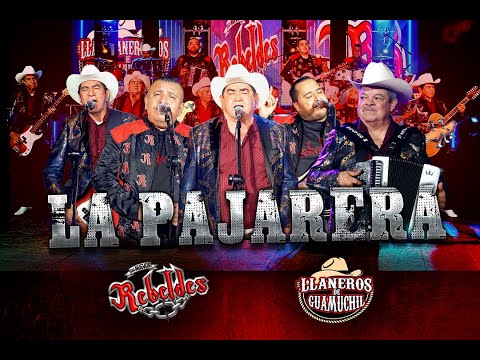 Los Nuevos Rebeldes Ft. Los Llaneros de Guamuchil - La Pajarera (Video Oficial) (2024)