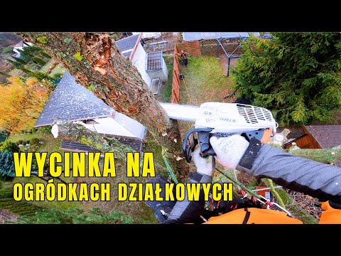 ANOTHER CLIMBING CUT IN A TIGHT SPACE! Did everything go according to plan?