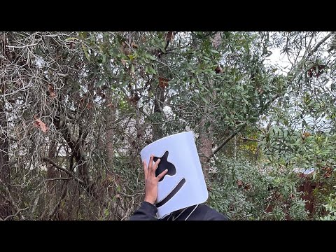 Video thumbnail PLb2uIWtRgo