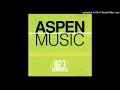 01 Stranger In My House 1999 Various Aspen Music 102 3 Fm Aspen