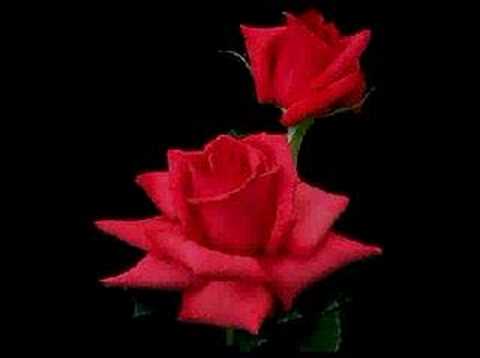 Son Nefes - Kara Melek