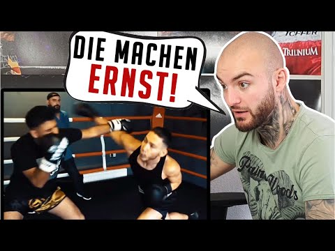 YouTuber Boxen ESKALIERT! Er will SCHUTZGELD und kassiert!  CEMS Box Battle 2019 - RINGLIFE reaction