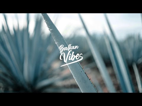 Robin Roxette, Alex Sargo & Kilate Tesla - Mas Tequila ft. PURI