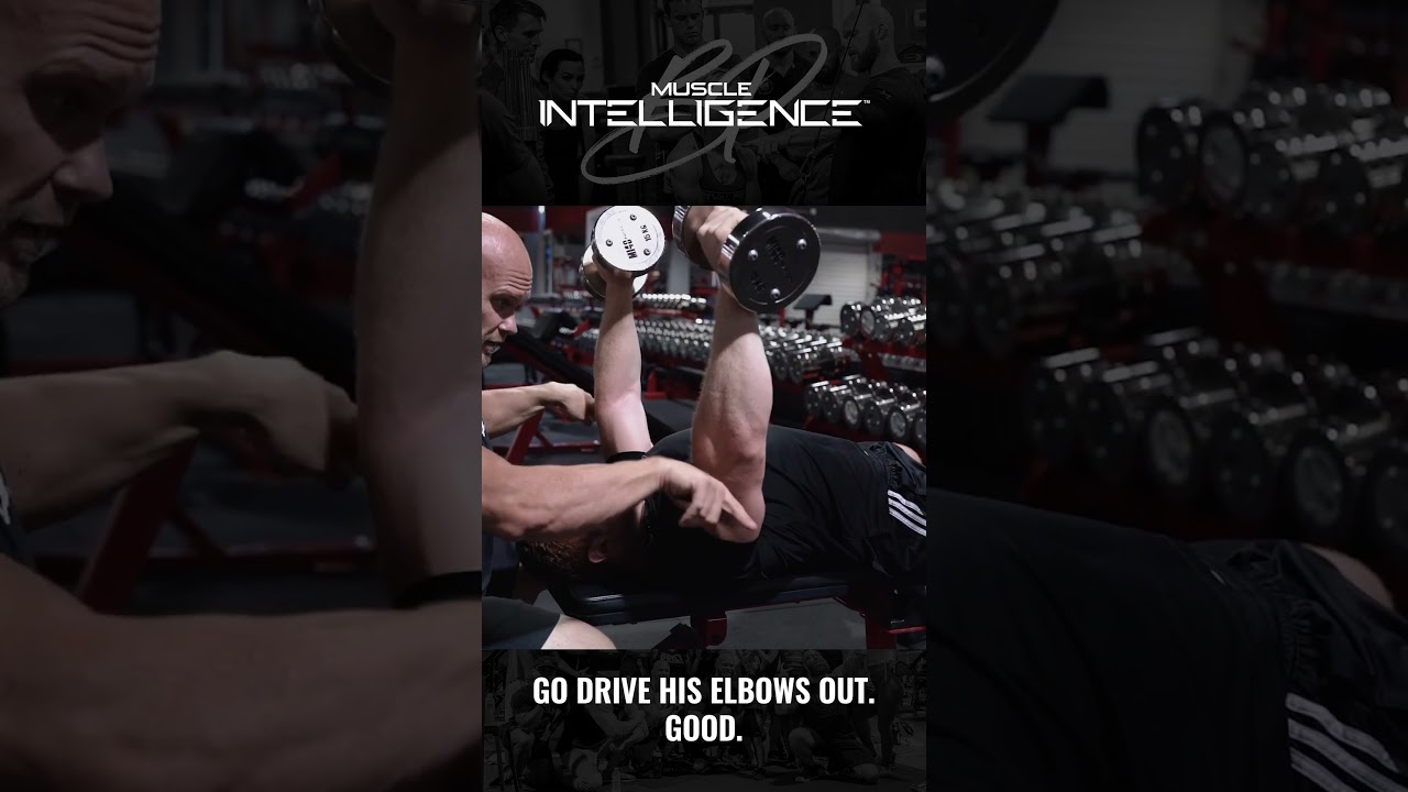 Exercise Execution: How to Chest Press