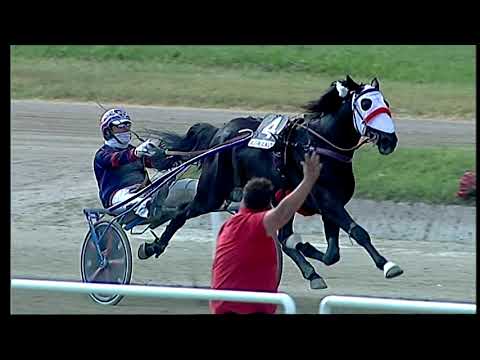 Napoli Trotto 30/05/2021 - 6ª corsa - GP Franco Antonio e Salvio Cervone