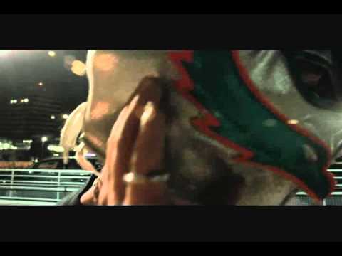 Robin des blocs NJP-VDV