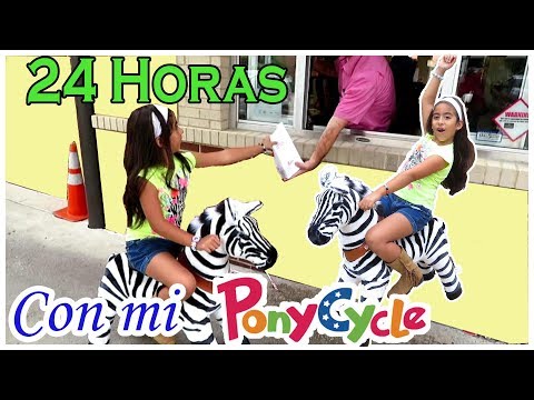 24 Horas con mi Zebra Ponycycle Retos Divertidos Zebra que Camina Video