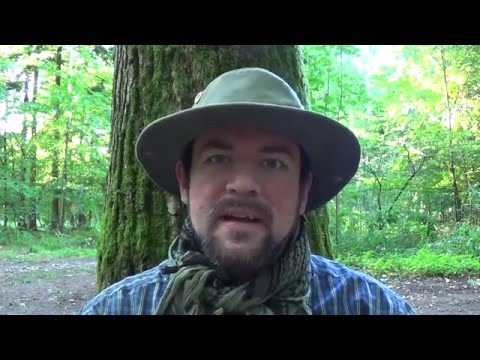 Pflanzliche Notnahrung