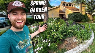 My 1 Year Front Yard Garden Tour & Pond Update! Native Plants Zone 9, Texas!