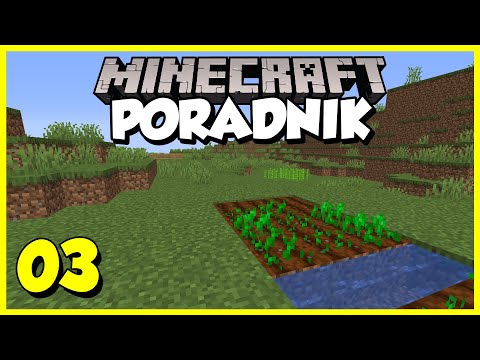 Minecraft Guide #003 - Farms and Food | Minecraft 1.16 Survival