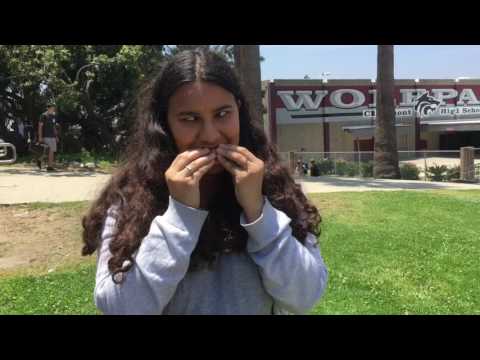 Deutsch Projekt Wannabe