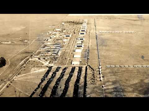 The March Field Story