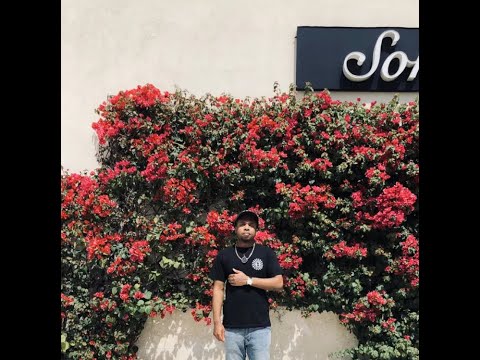 Artist of The Day: Mehkai Orion