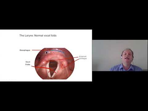 Virtual Summer Conference 2020: Síntomas Otorrinolaringológicos y su Tratamiento by Mr Gary Wood | Spanish (ES)