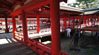 preview picture of video '世界遺産『厳島神社』 - Miyajima Itukusima Jinjya'