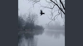 Thunderstorm Among the Clouds