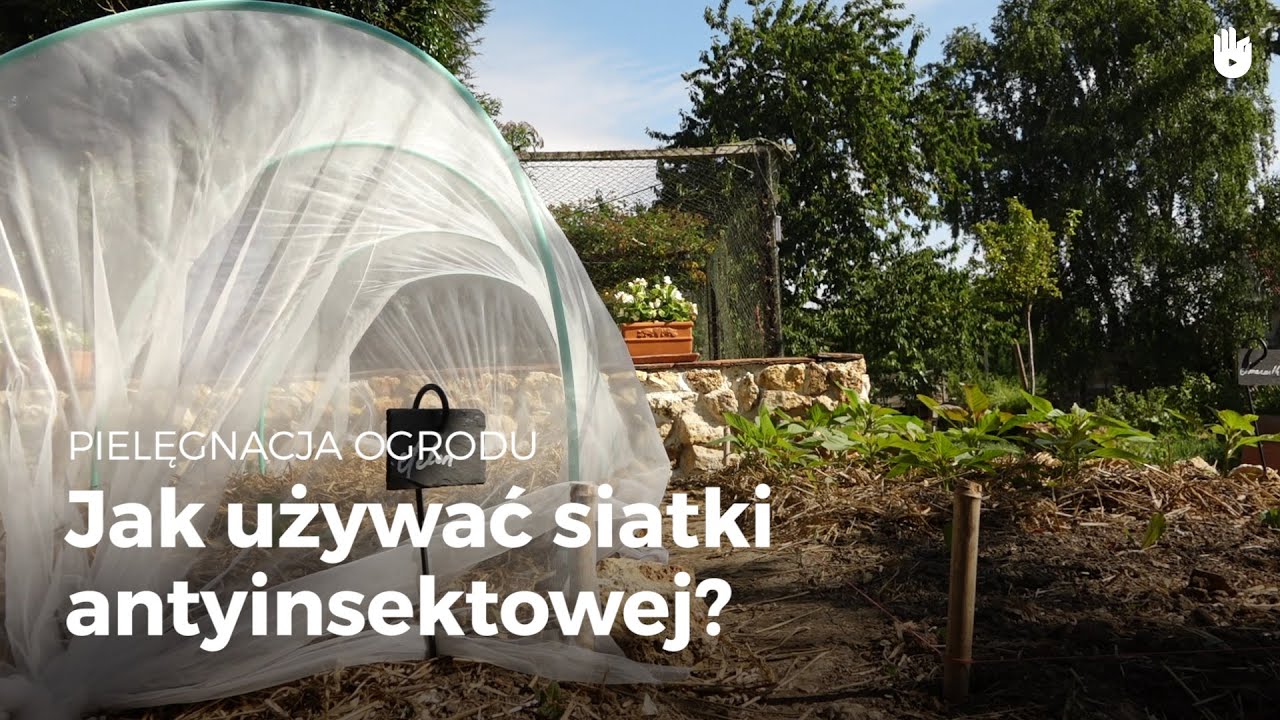Pielegnacja ogrodu - Jak używać siatki antyinsektowej