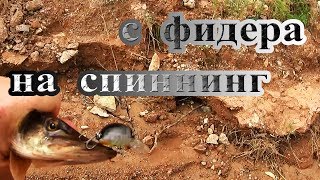 Ссылка