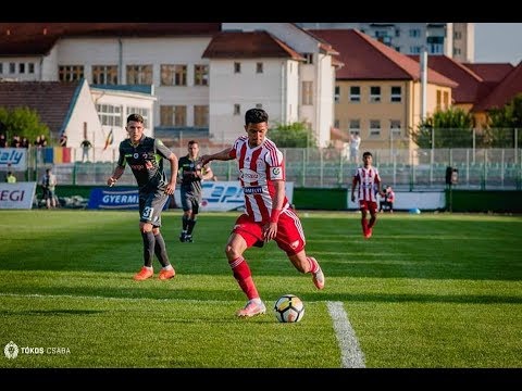 Yasin Hamed 2018 Sepsi Sf  Gheorghe Highlights
