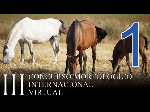 III Concurso Morfológico Internacional Virtual (Jornada 1)