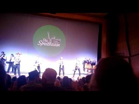 2017 03 18 Die Spritbuam Gala concert