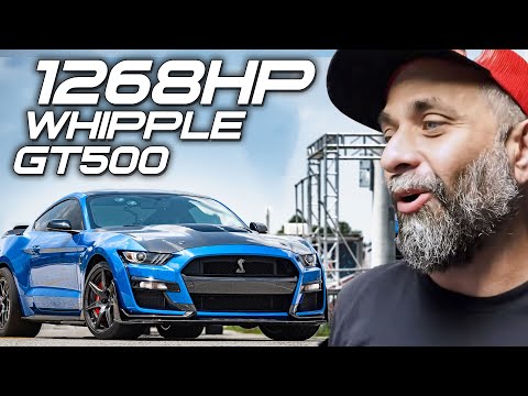 WHIPPLE SUPERCHARGED GT500 ON OVER 24 PSI of BOOST! | AND In Depth Analysis vs 3.8L WHIPPLE COYOTES!