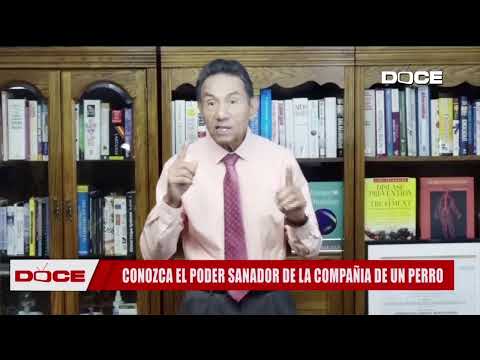 SEÑAL EN VIVO CANAL DOCE
