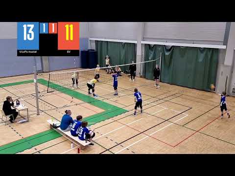 DP Tiikeri K2 18768   ViLePa mustat - BV