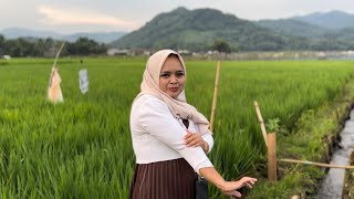 Download lagu Afternoon Atmosphere in Kang Yadi's Hometown Entertainment After Eid Al-Fitr with His Children an... mp3