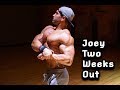 Physique updates| Joey 2 weeks out| Training footage
