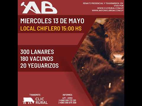 13/5/2026 - Local Chiflero - Artigas - Feria Mensual - Antonio J Brum