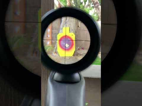 REVIEW: Crosman 1077 W Airgun - CO2 Semi Auto - Backyard Plinker